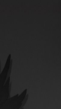 异世界档案馆 | 暗天使——阿格斯