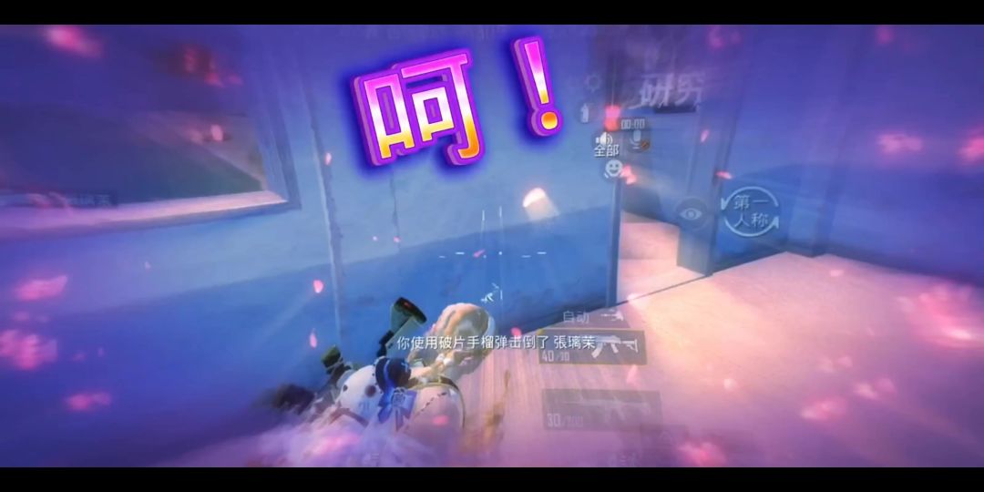 video-3663355