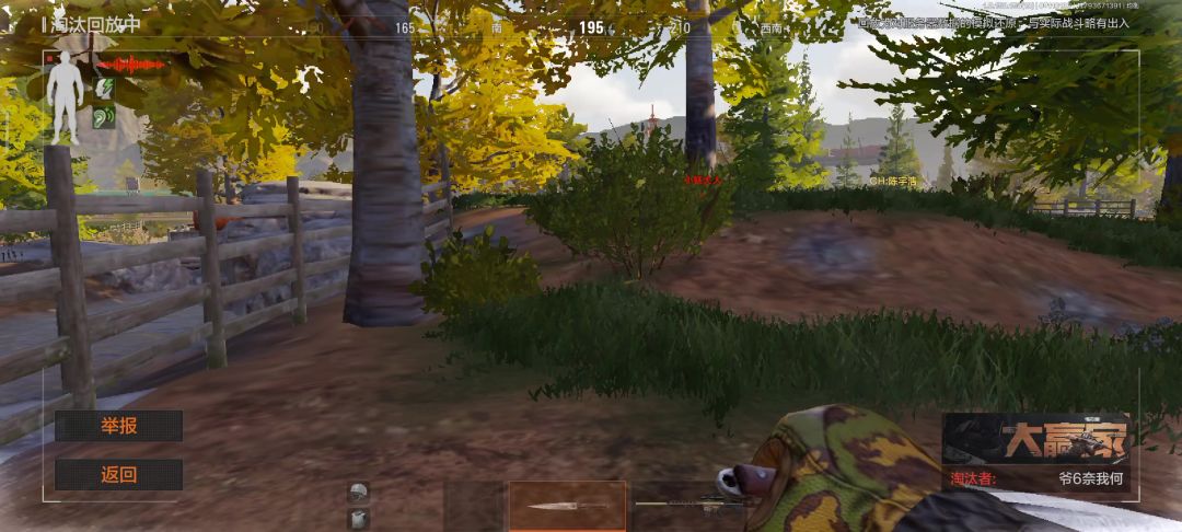 video-3676215