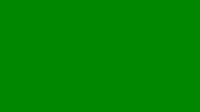 video-3680911