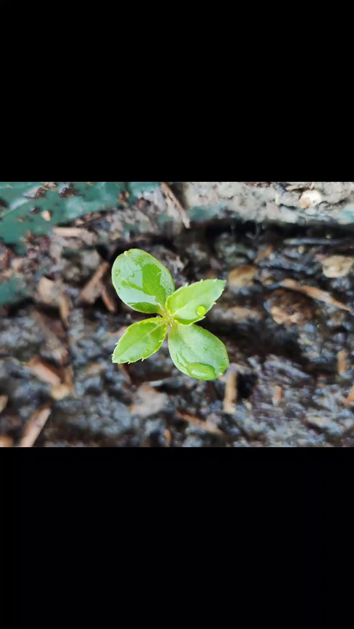 🌱全世界最棒的宝宝截图