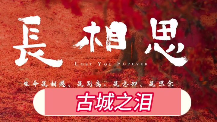 【趣味视频】古城之泪×长相思(上)截图