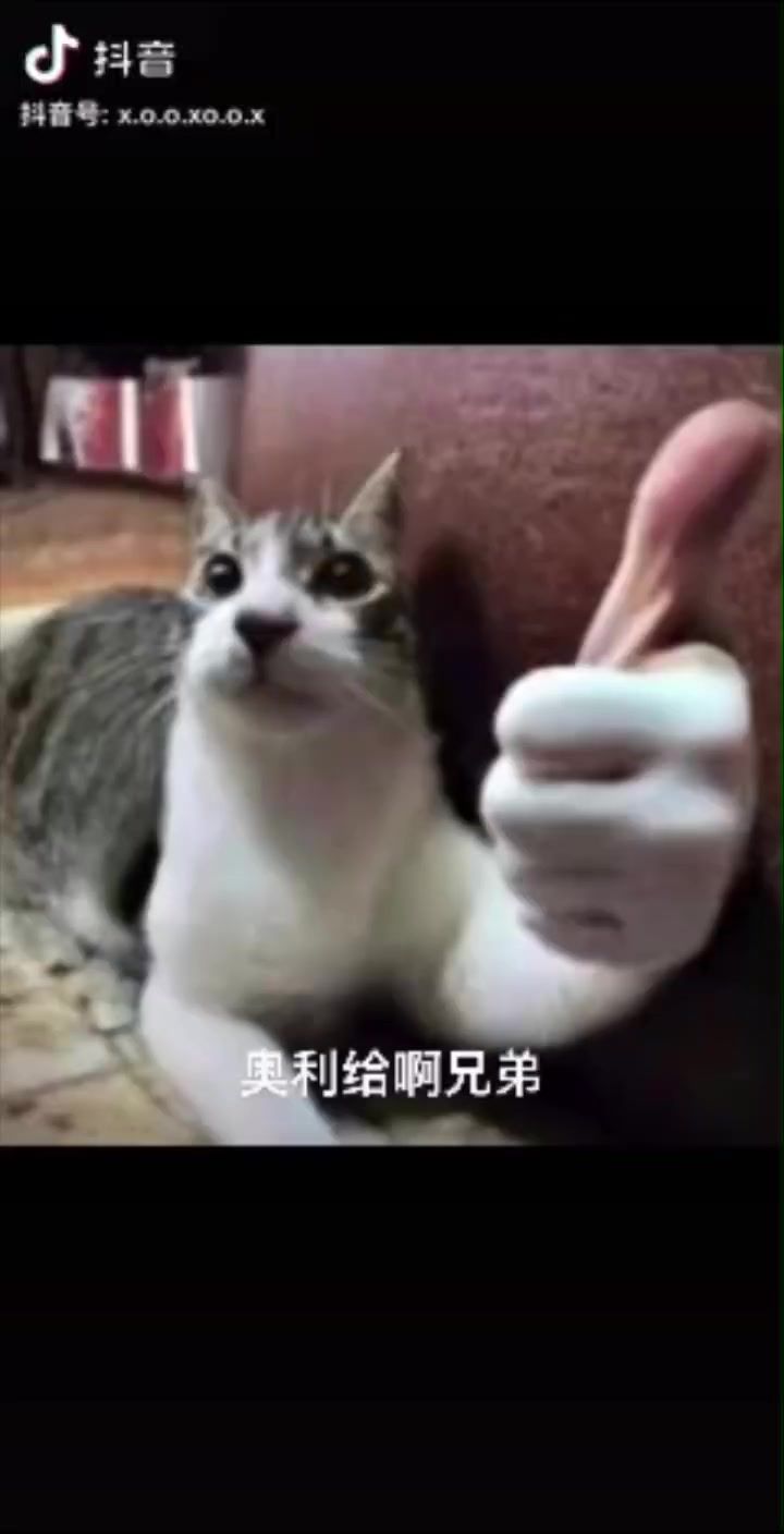 video-3710259