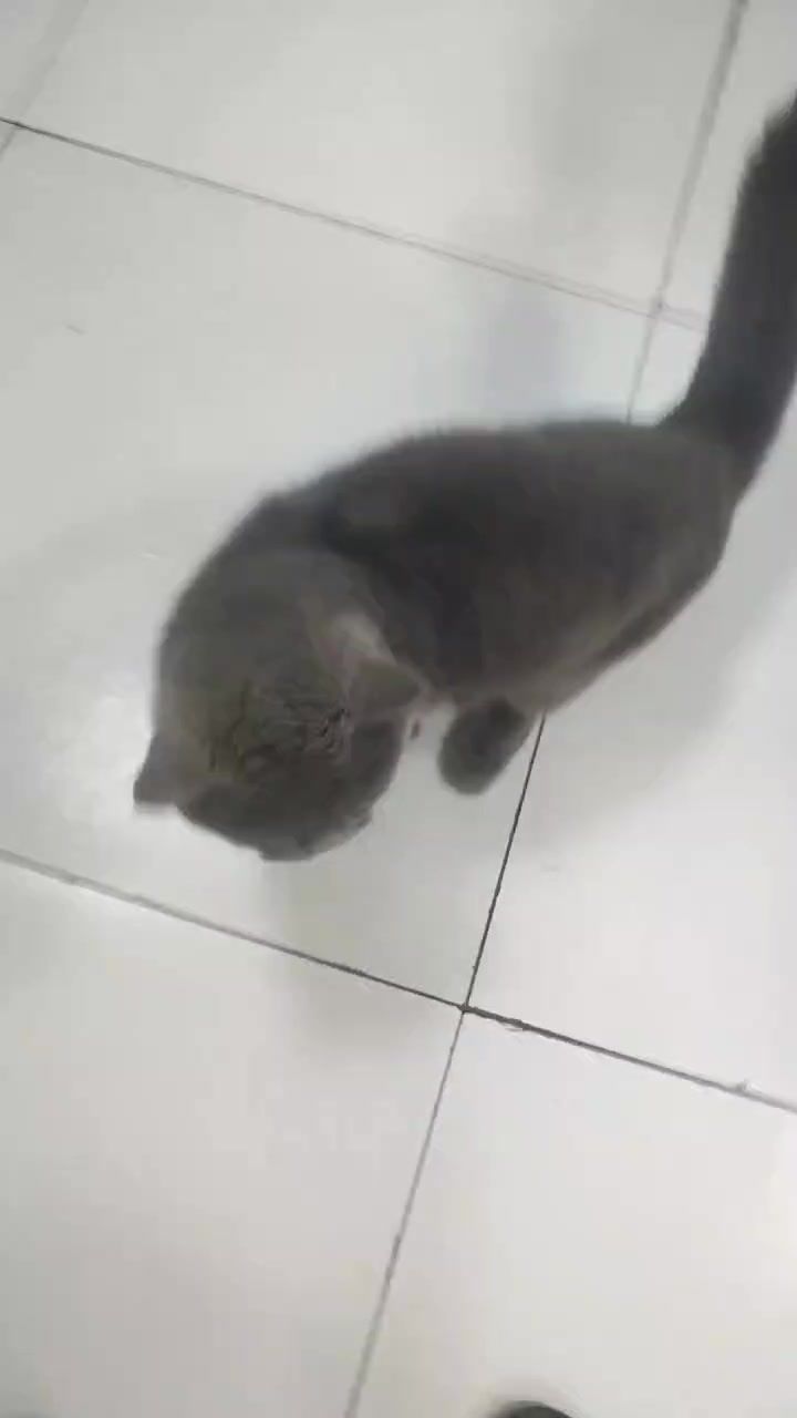 我要和我呵呵二月u饿截图