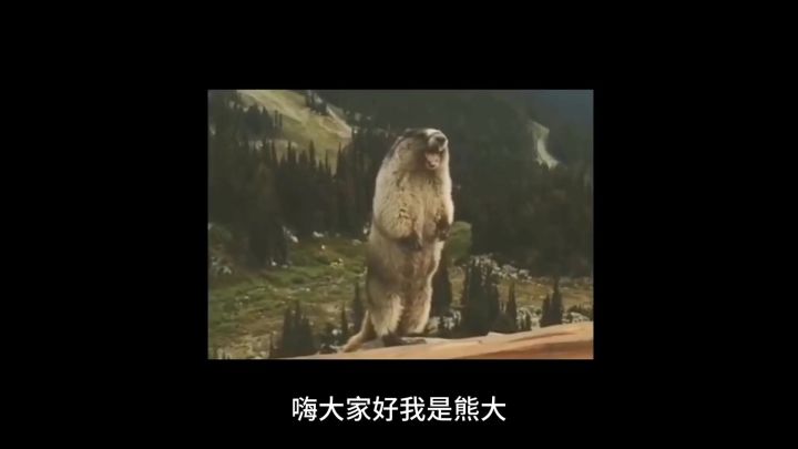 队友在,无限复活!《山海镜花》奢比解析!截图