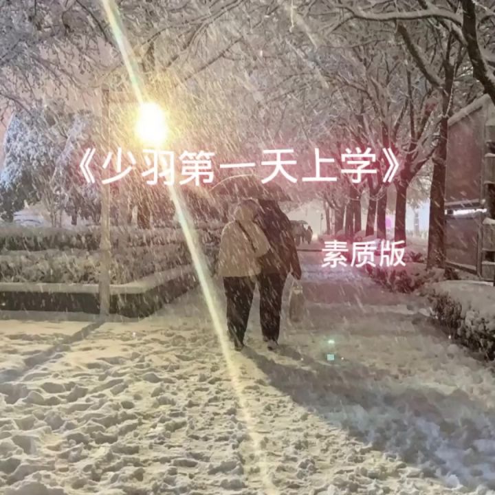 少羽太树枝了截图