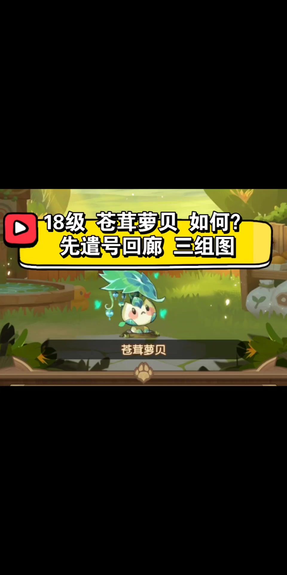 video-3723763