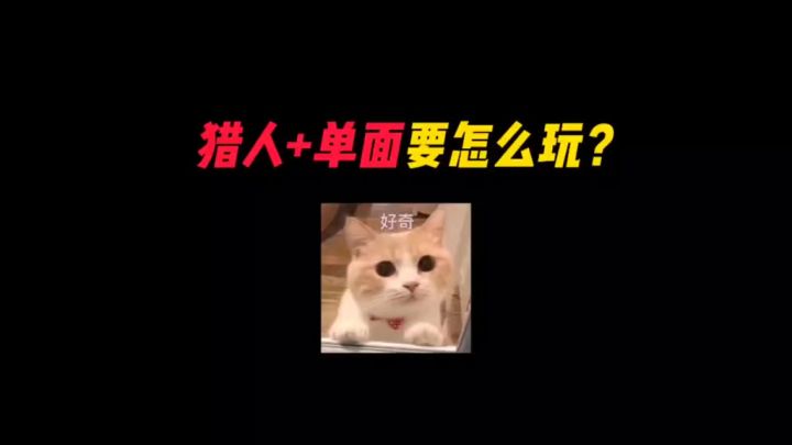 猎人➕单面的奇葩组合!截图
