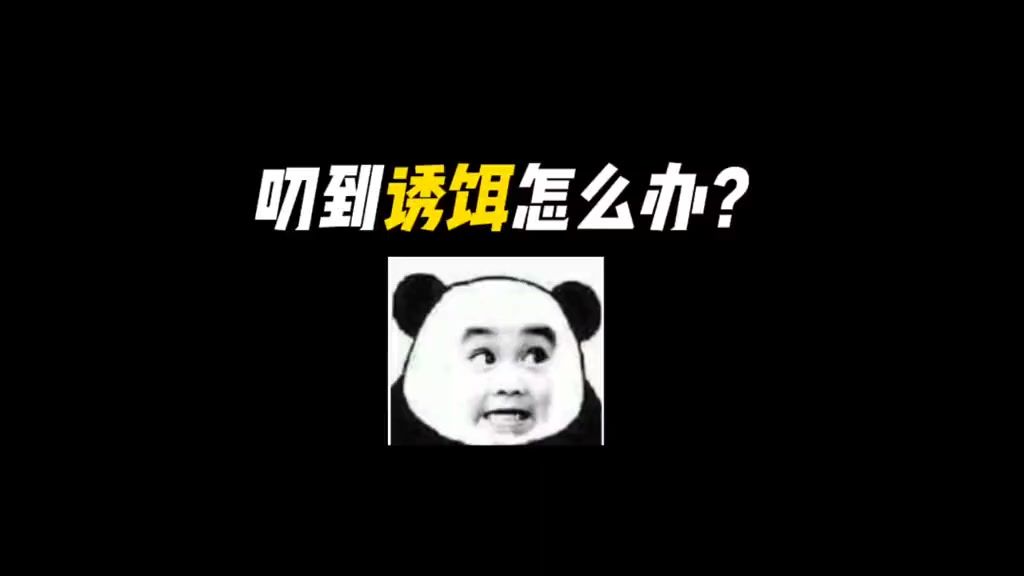 video-3724286