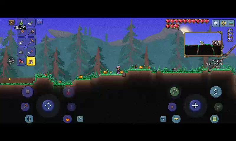 video-3728945