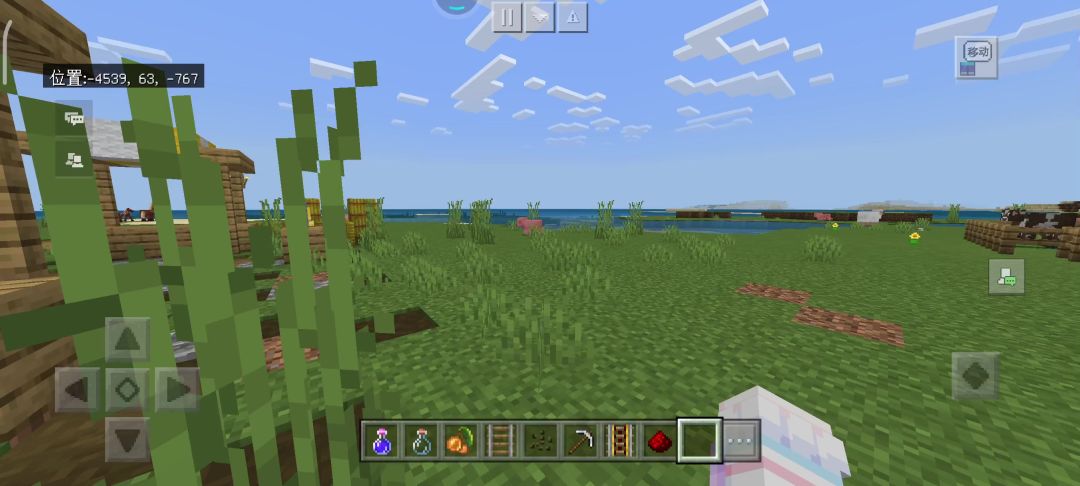 video-3729652