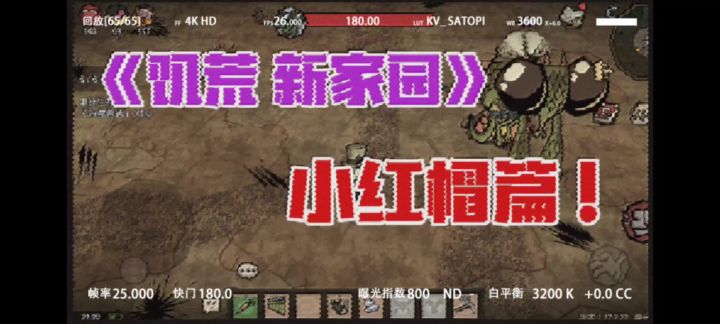 《饥荒 小红帽》!如果你刚刚玩完饥荒截图
