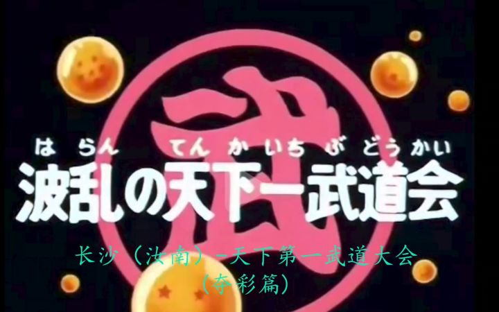 长沙(汝南)天下第一武道大会(夺彩篇)截图