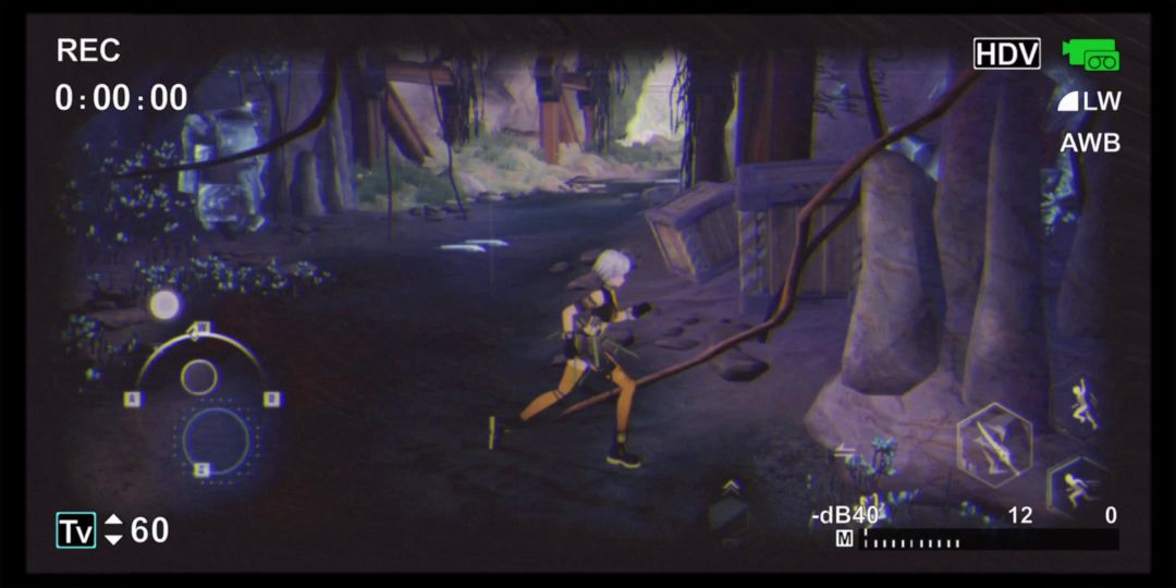video-3741442