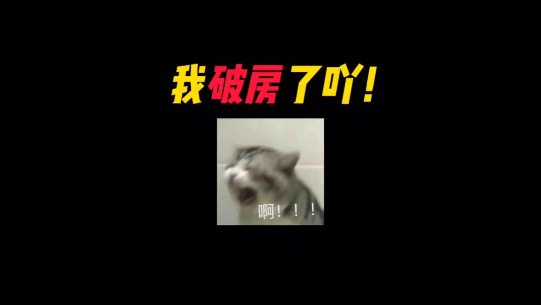 video-3745602