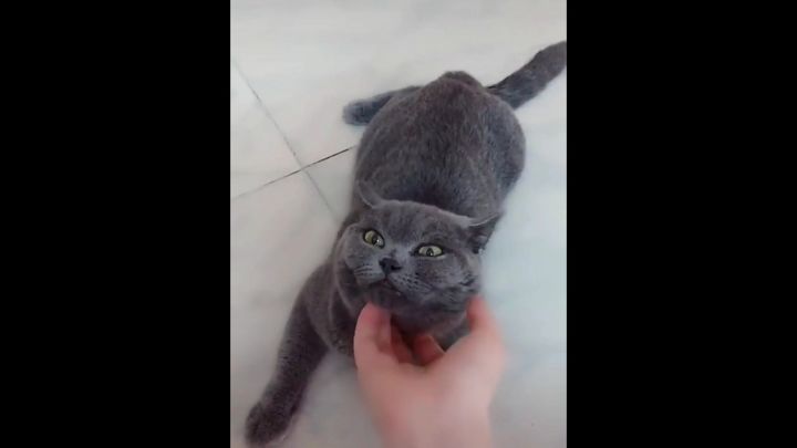 都看看!这才是一款吃鸡手游该有的样子!截图