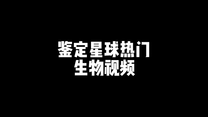 介绍星球热门生物视频01截图
