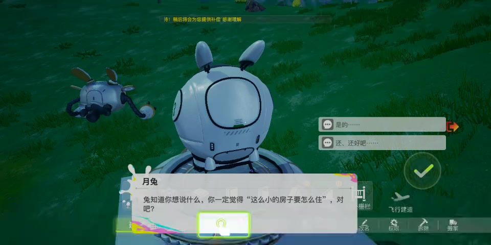 video-3767025