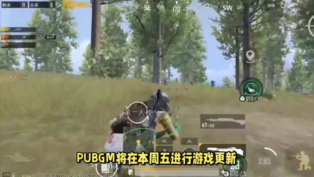 video-3767215