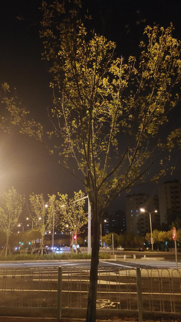 诸葛丞相!!!!我需要你!!!!截图