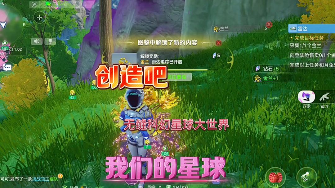 video-3768142