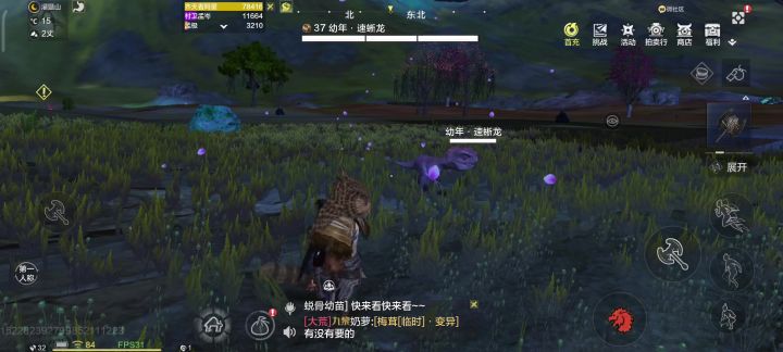 速蜥龙,王牌主战宠物+1截图