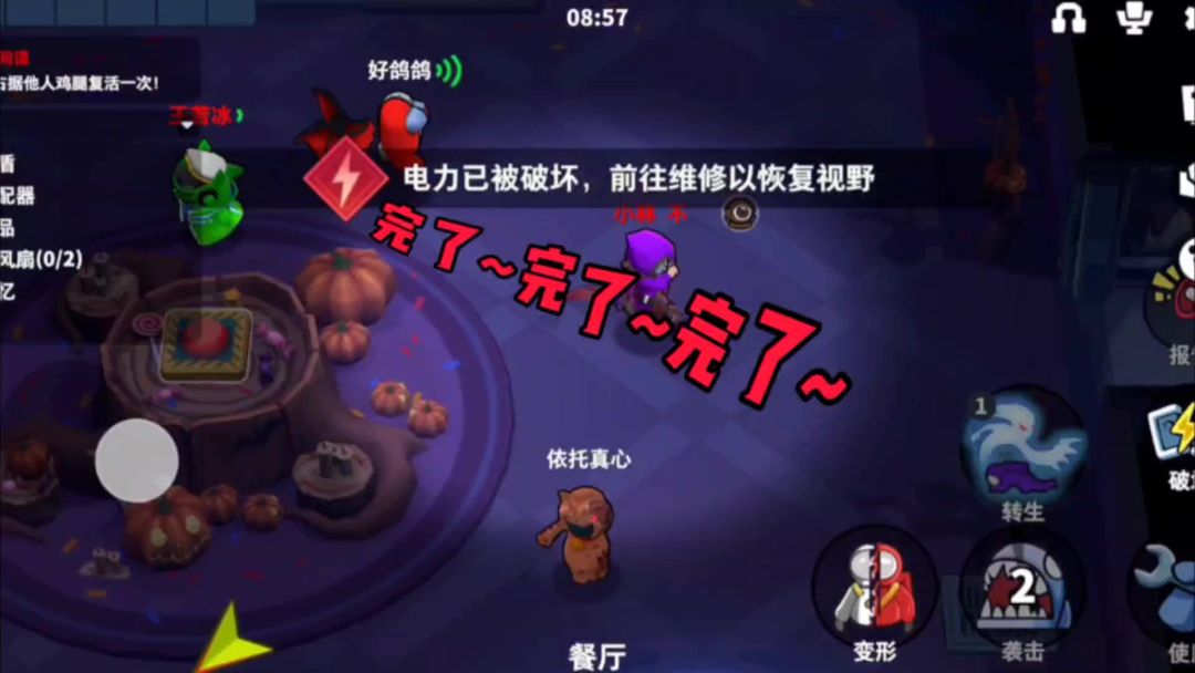 video-3772949