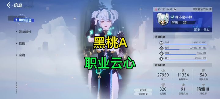晶核确实是动作游戏截图