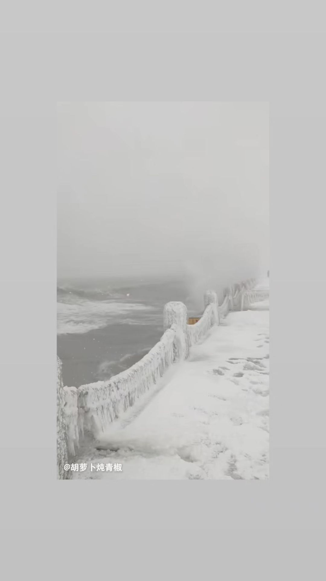 video-3782054