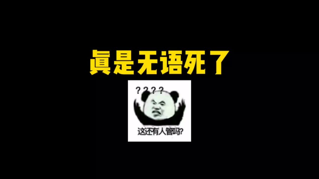 video-3784360