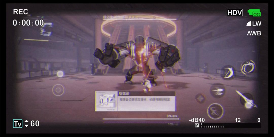 video-3785195