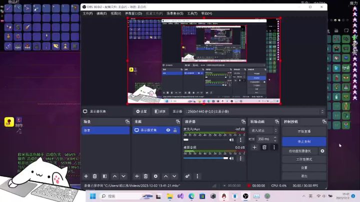 无伤-灾厄炼狱模式神明吞噬者-暗影骑枪截图