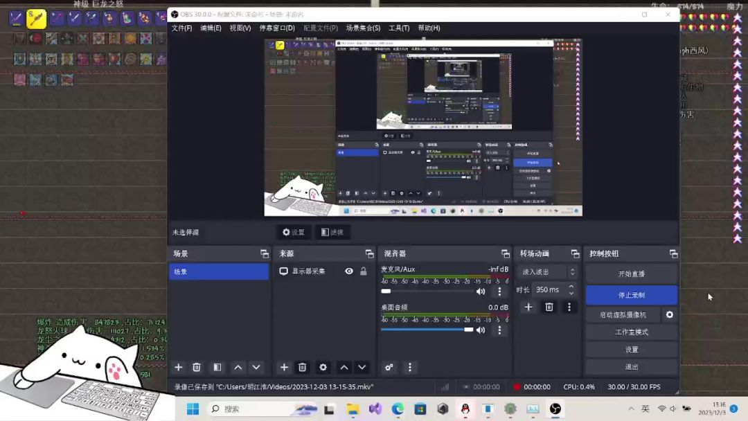video-3809641