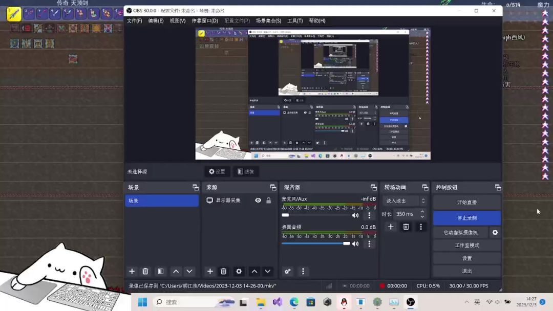 video-3811000