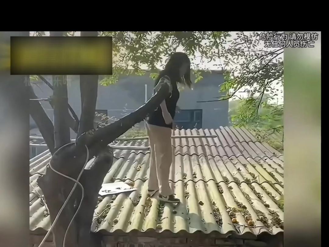 video-3812461