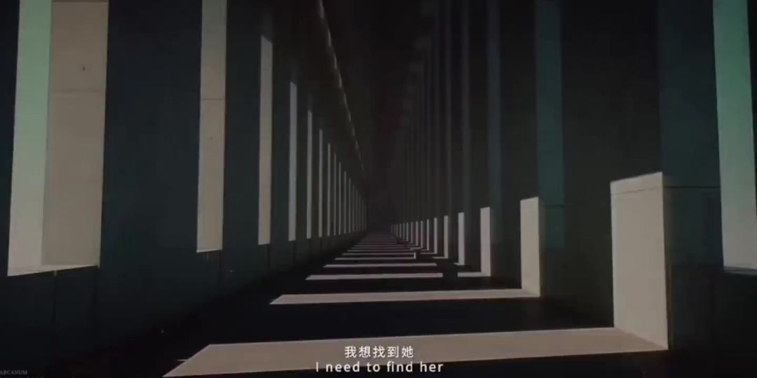 video-3816306
