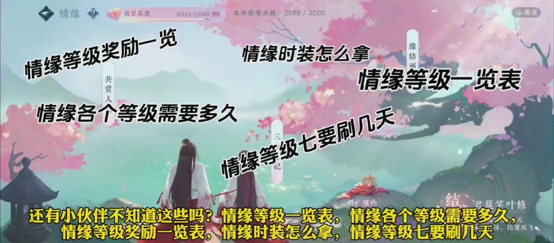 video-3821387
