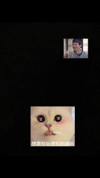 橙光推荐作品《兽世冤种实录》