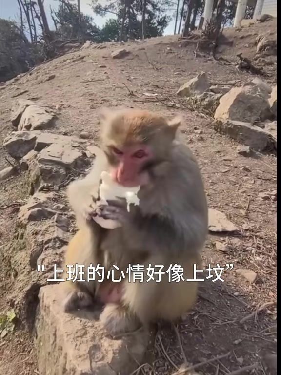 43区今天开嘛截图