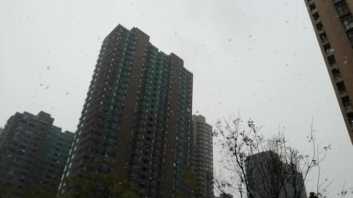 即使在北方,这样的大雪片子也是难得一见截图