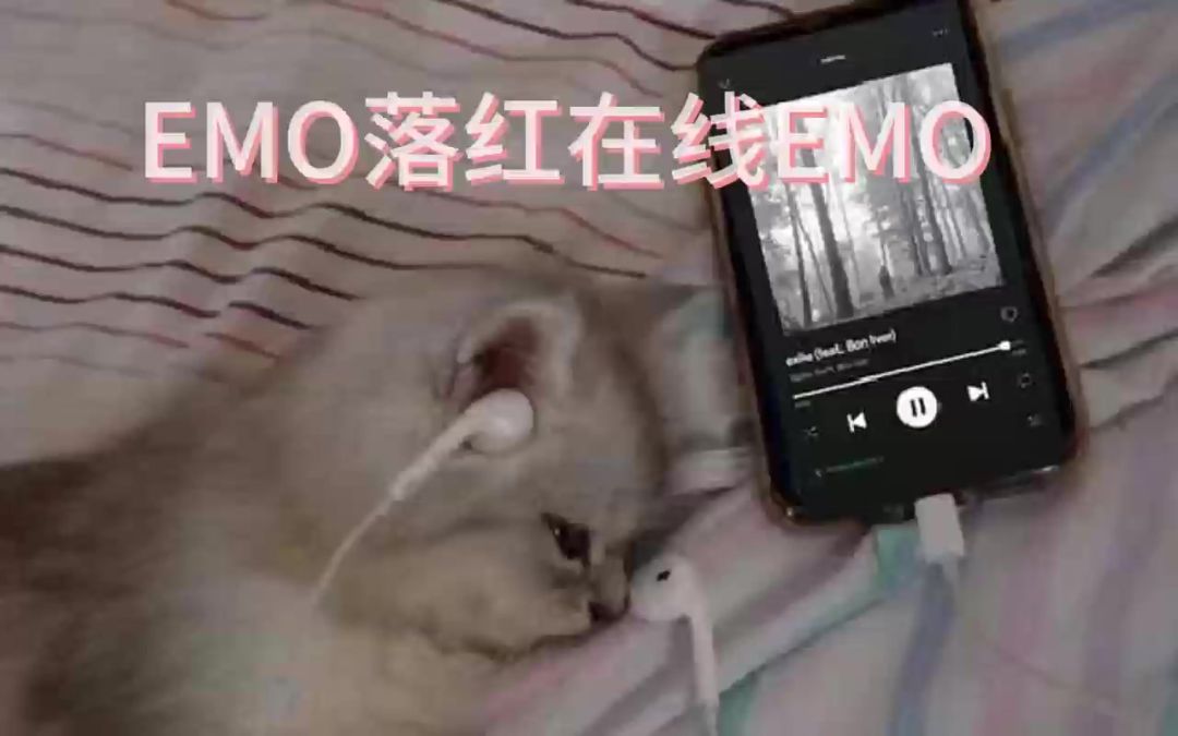 video-3829550
