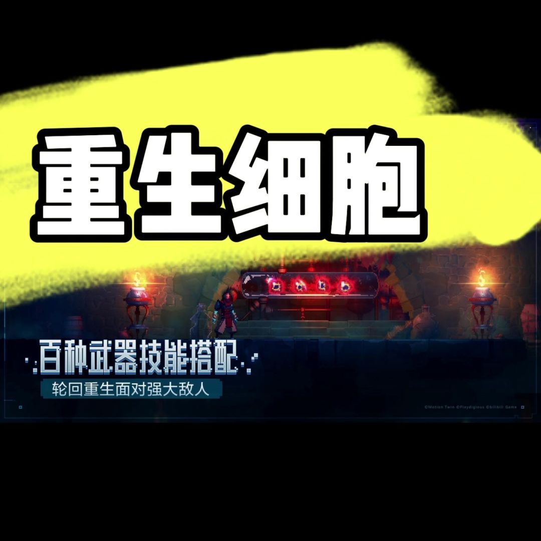 video-3831863