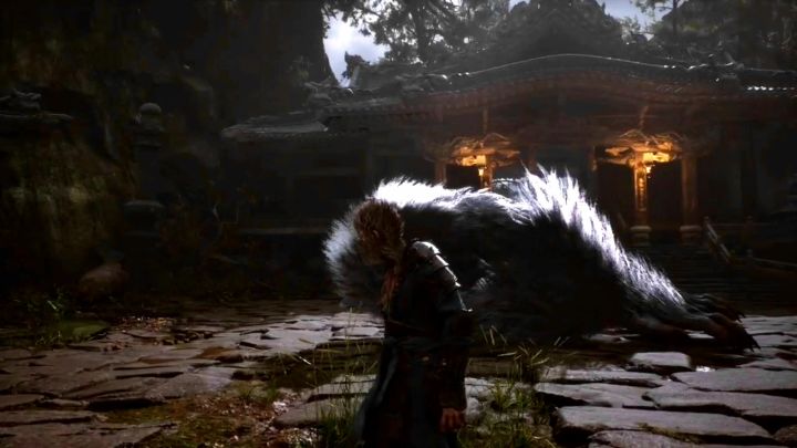 黑神话永远的神。截图