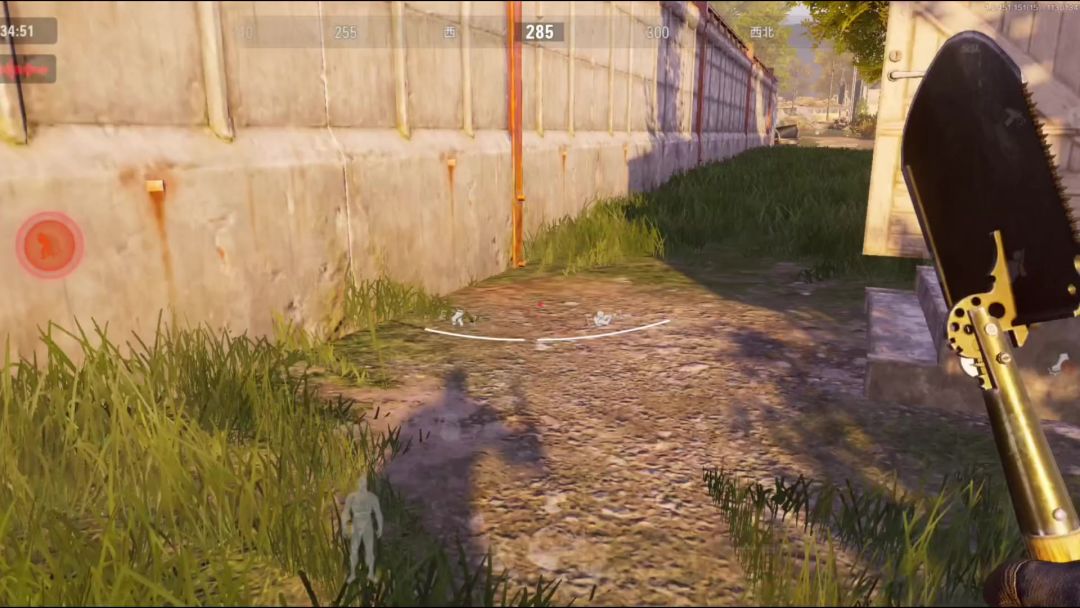 video-3843229