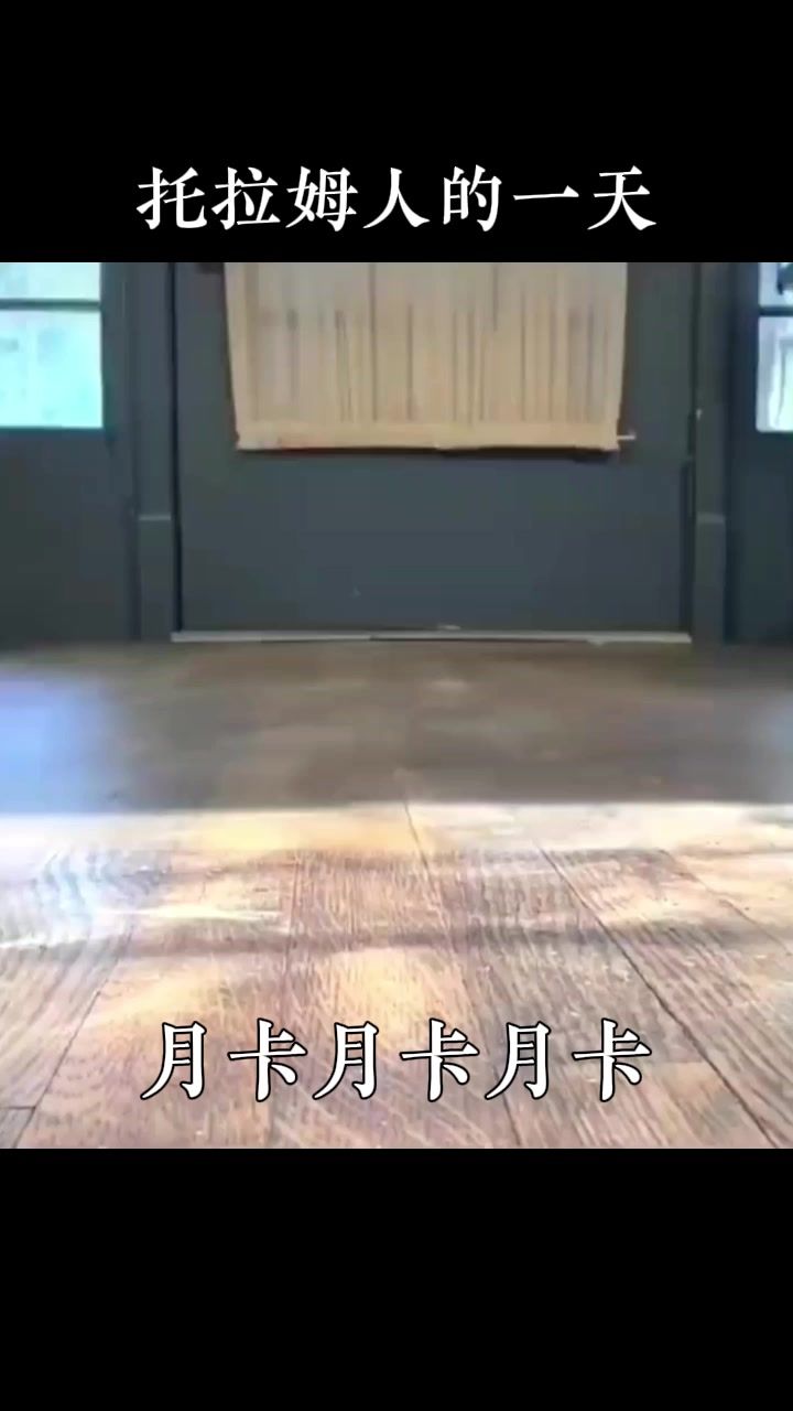 托拉姆人的一天截图