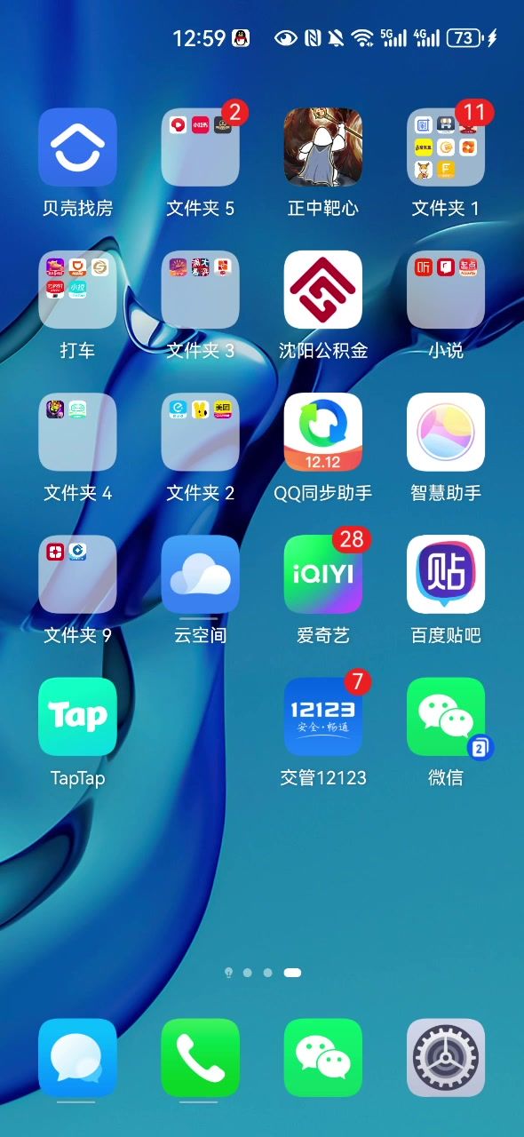 游戏崩了?截图