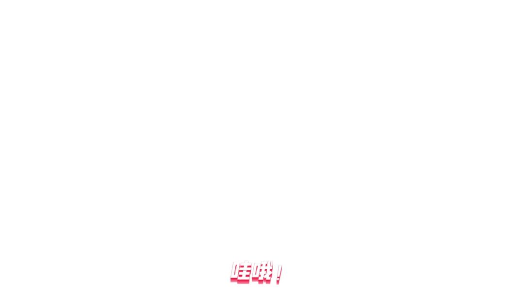 video-3851295