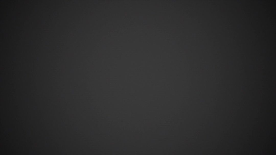 video-3854244