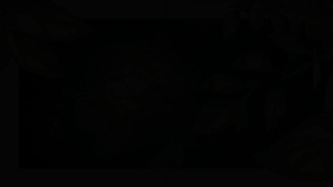 video-3854263