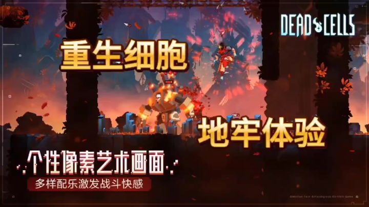 重生细胞体验别样的地牢探险截图